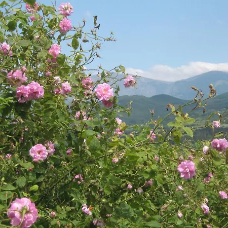 къща речен шепот 게스트하우스 칼로페르