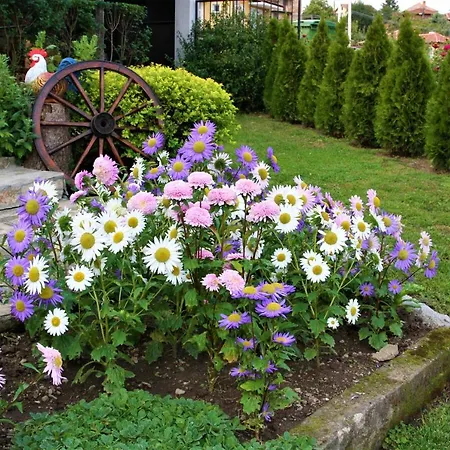 къща речен шепот 3*