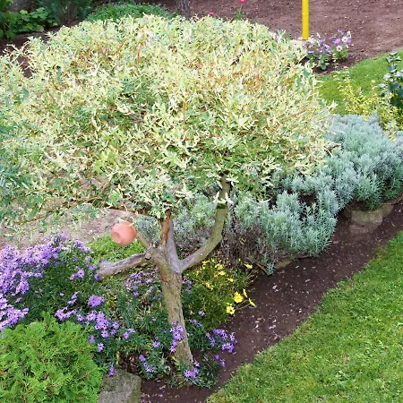 къща речен шепот 3* 칼로페르