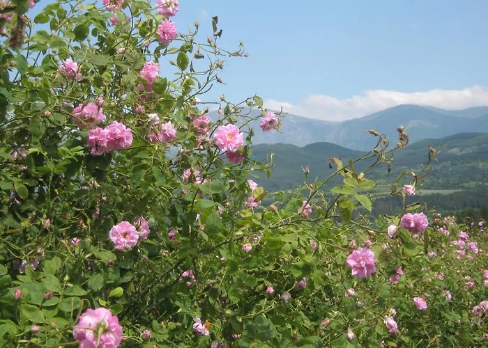 къща речен шепот Affittacamere Kalofer