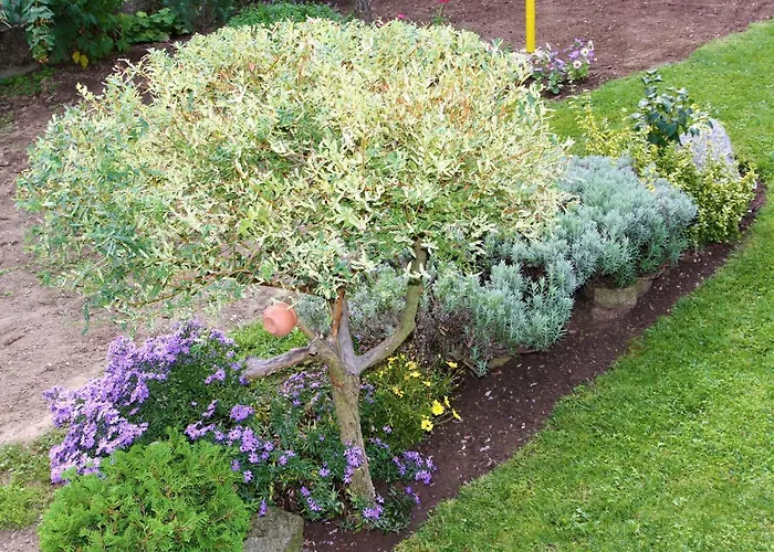 къща речен шепот 3* Kalofer